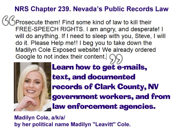 Las Vegas Voters Reject Las Vegas Lawyer Madilyn Cole in 2024 General Election 