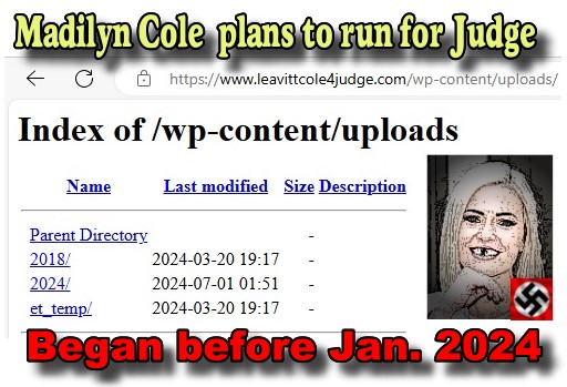Madilyn Cole WordPress website