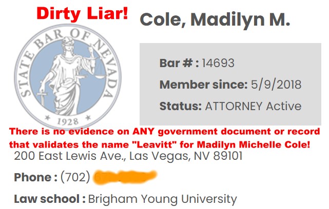 Las Vegas Voters Reject Las Vegas Lawyer Madilyn Cole in 2024 General Election 