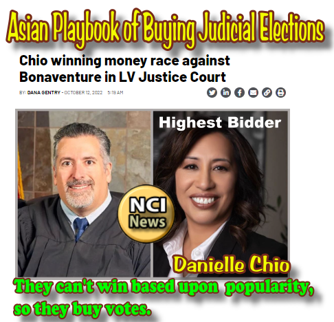 2024-25 Judicial Campagn Against Danielle Chio