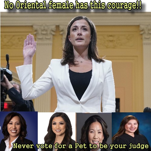 Danielle Chio for Judge