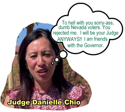 Dec  2024   Judicial Campagn of  Danielle Chio