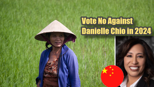 2023-24 Judicial Campagn Against Danielle Chio