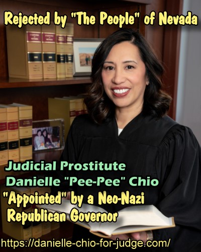 2024-25 Judicial Campagn Against Danielle Chio