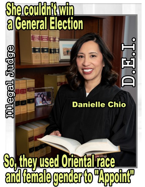 Illegal Appointment of Judge Danielle Chio